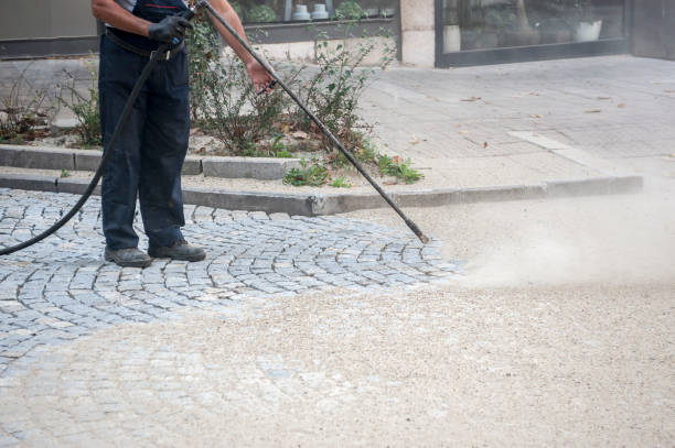 Best Building Exterior Washing  in Nanticoke, PA